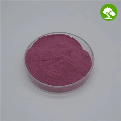 Poudre de Mûre Bio