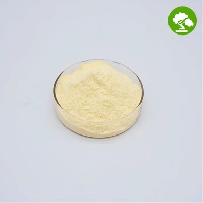 Poudre de phylloquinone pure de vitamine K